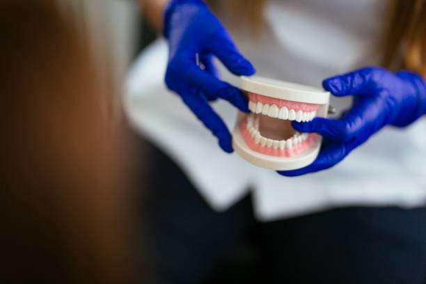Reliable Somers, WI Dental Services Solutions